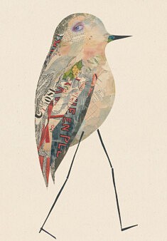 Oiseaux n° 52. Collage sur carton bois. 26 x 36 cm environ.