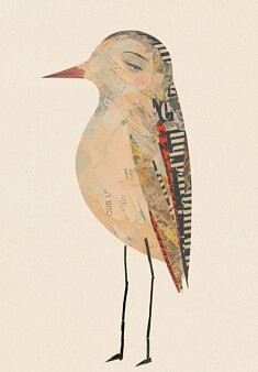 Oiseaux n° 63. Collage sur carton bois. 26 x 36 cm environ.