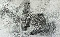 Nu, Dessin sans titre, graphite sur papier, 100 x 60  cm, 2026