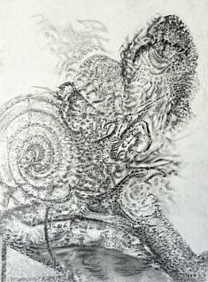 Dessin sans titre, graphite sur papier, estompe, 56,5 x 76,5, 2026