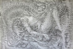 Rose, dessin au graphite et estompe sur papier, 110 x 80 cm, 2024