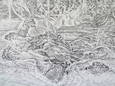 Nu couché, sans titre, graphite sur papier, 57,5 x 76,5 cm, 2025