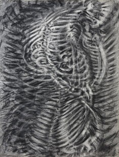 Squelette, dessin au fusain sur papier vergé, 50x 65 cm, 2025