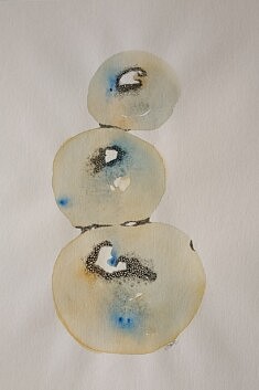 Jardin de castus Lanzarote, 2020 - 30x40 - Aquarelle et encre de chine
