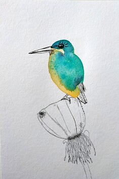 India 2023 - 17x24 - aquarelle et encre de chine